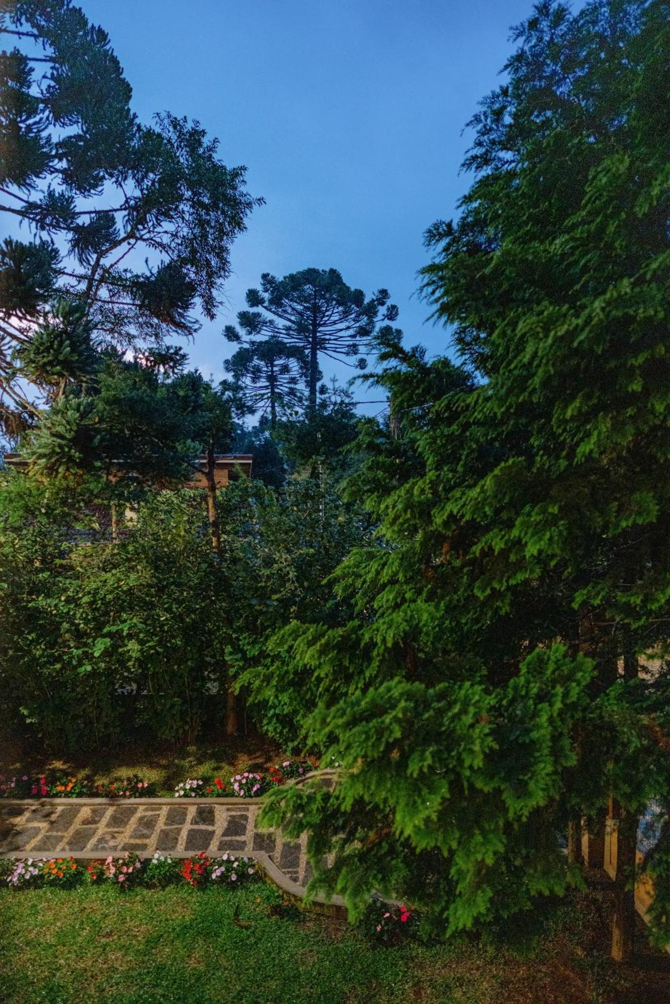 Villetta Lucca Monte Verde  Kültér fotó